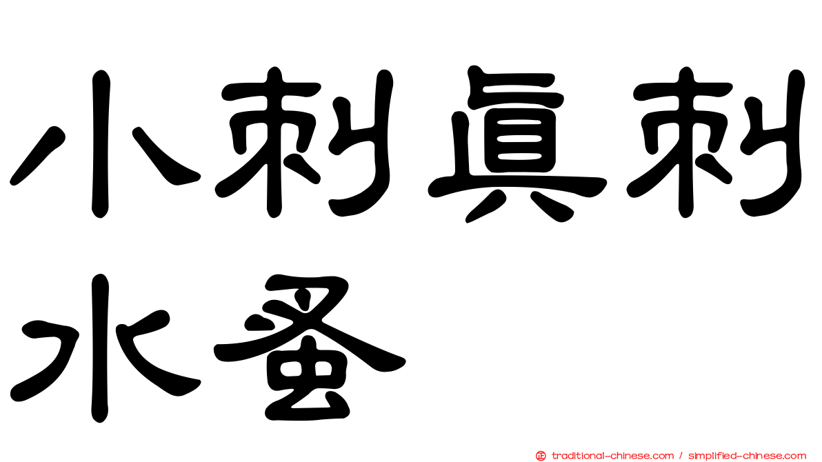 小刺真刺水蚤