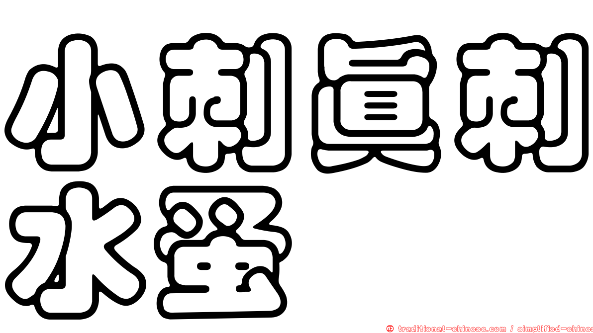 小刺真刺水蚤