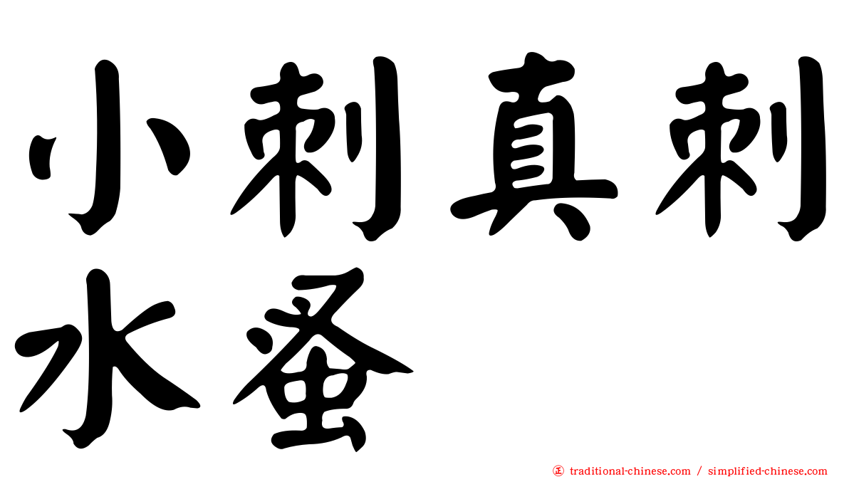 小刺真刺水蚤