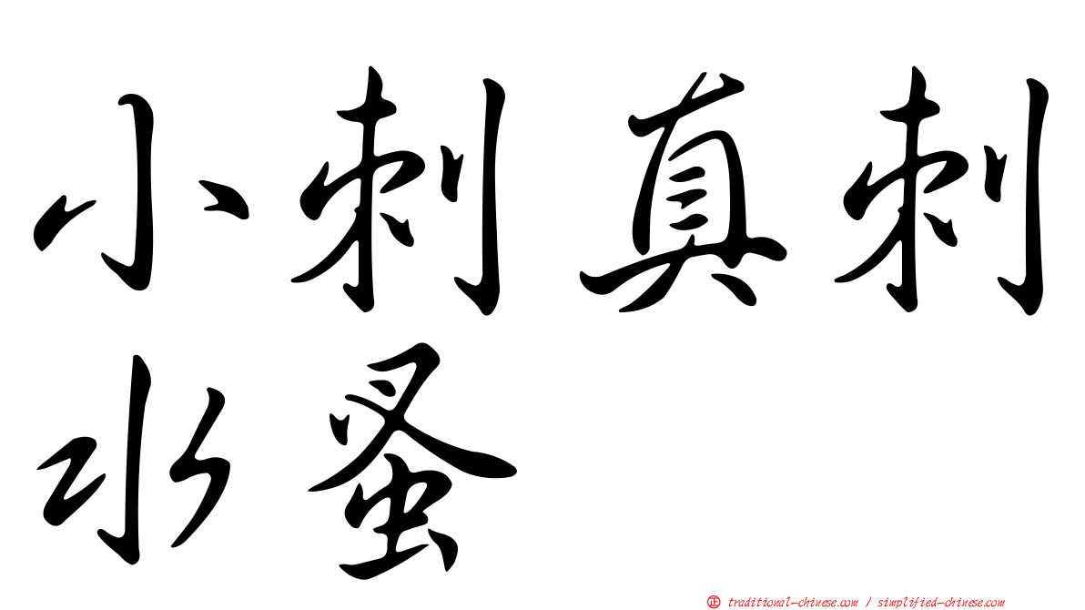 小刺真刺水蚤
