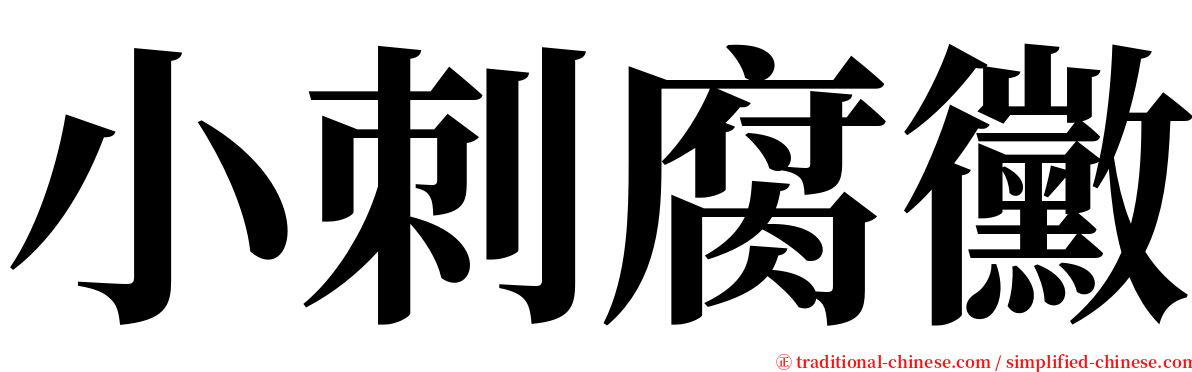 小刺腐黴 serif font