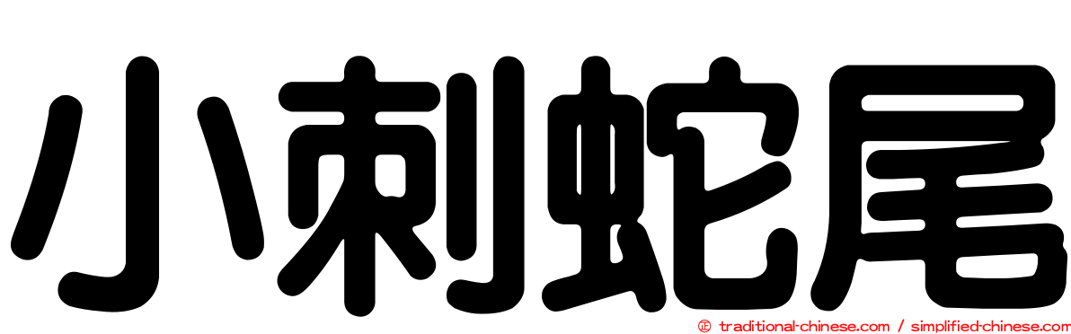 小刺蛇尾