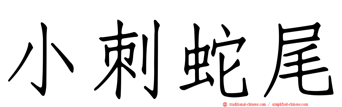 小刺蛇尾