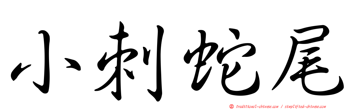 小刺蛇尾