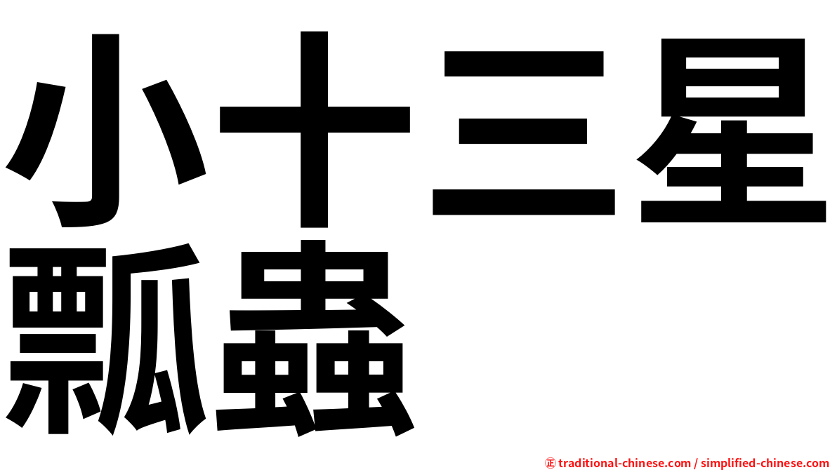 小十三星瓢蟲