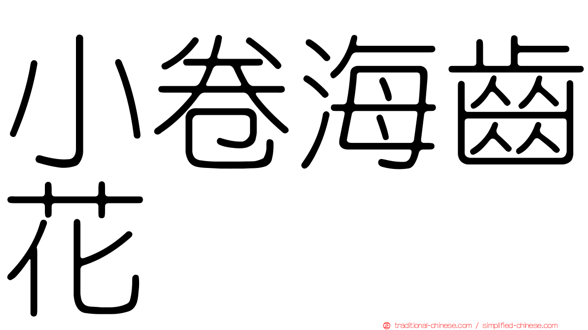 小卷海齒花