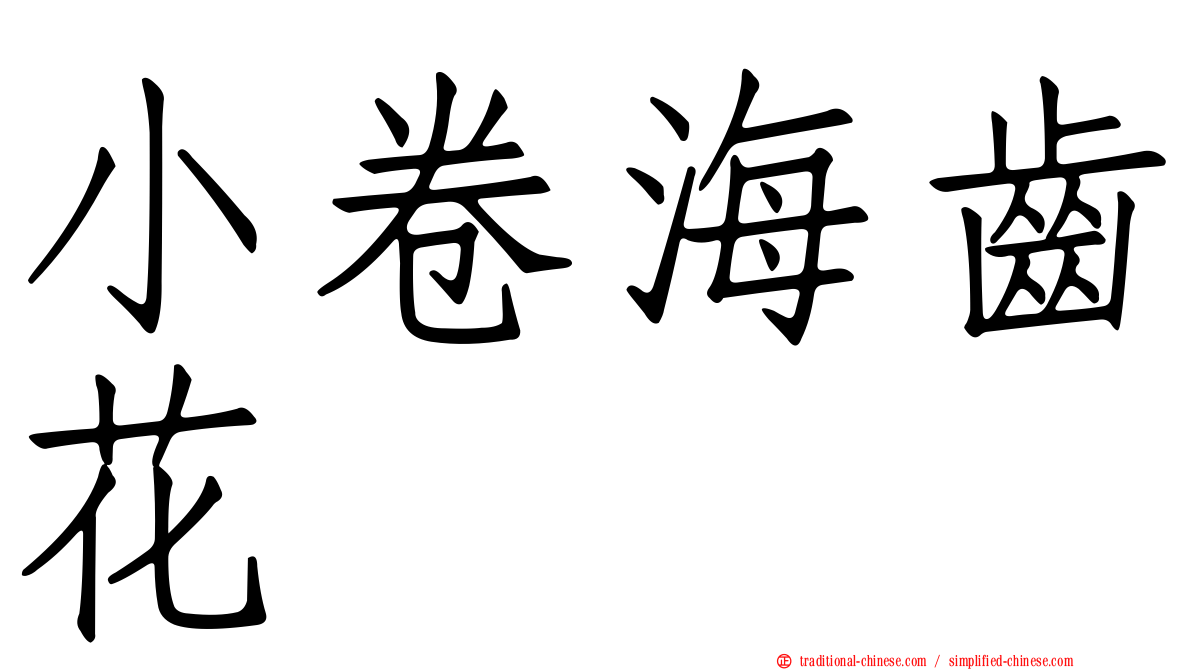 小卷海齒花