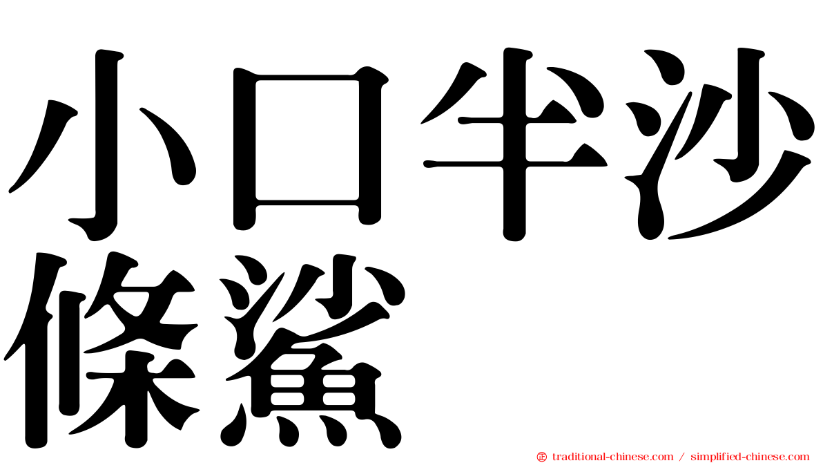 小口半沙條鯊