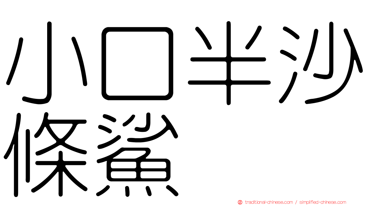 小口半沙條鯊