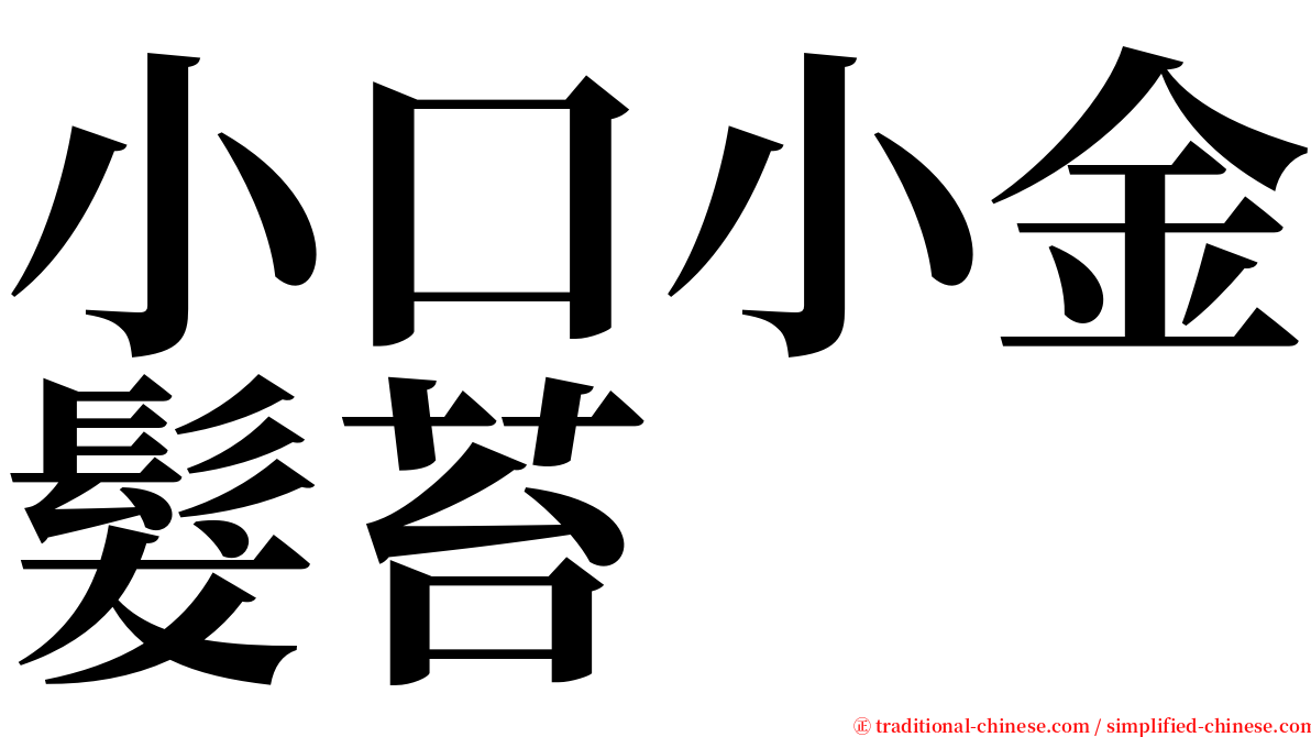 小口小金髮苔 serif font