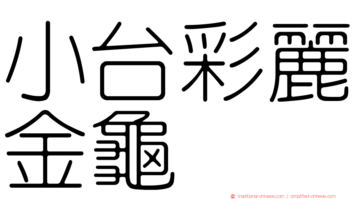 小台彩麗金龜