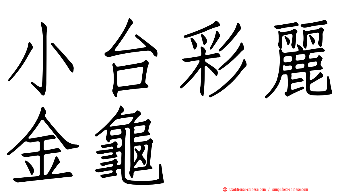 小台彩麗金龜