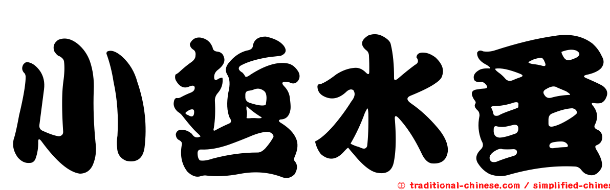 小哲水蚤