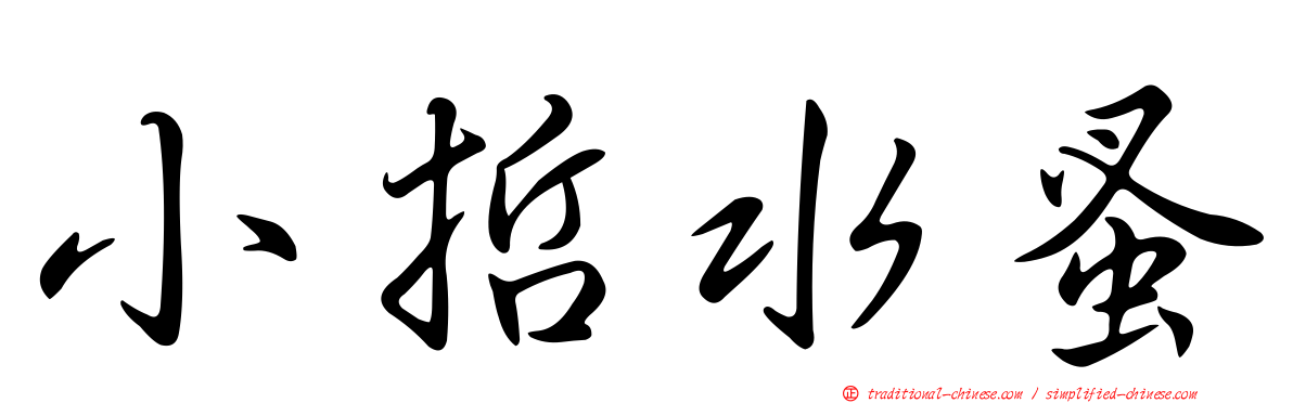 小哲水蚤