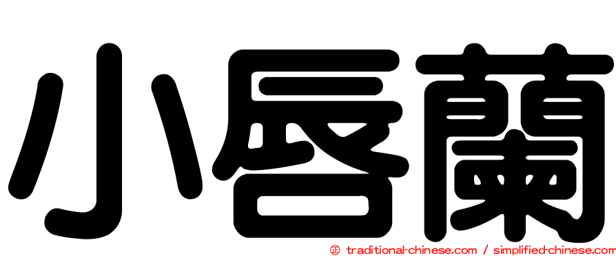 小唇蘭