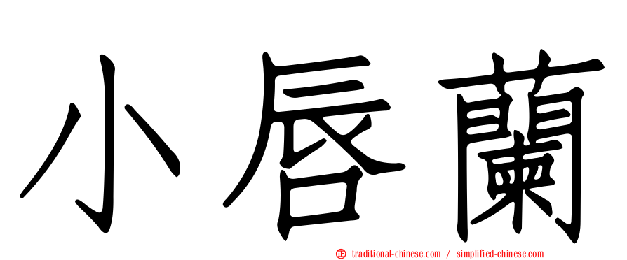 小唇蘭