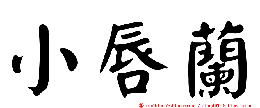 小唇蘭