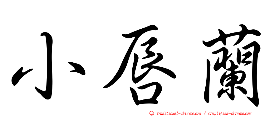 小唇蘭