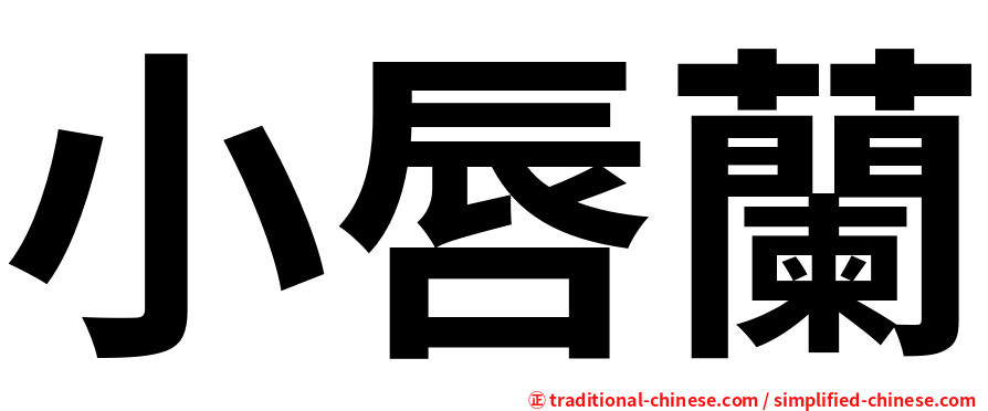 小唇蘭