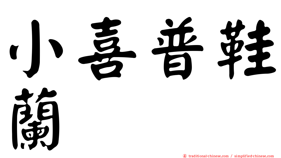 小喜普鞋蘭