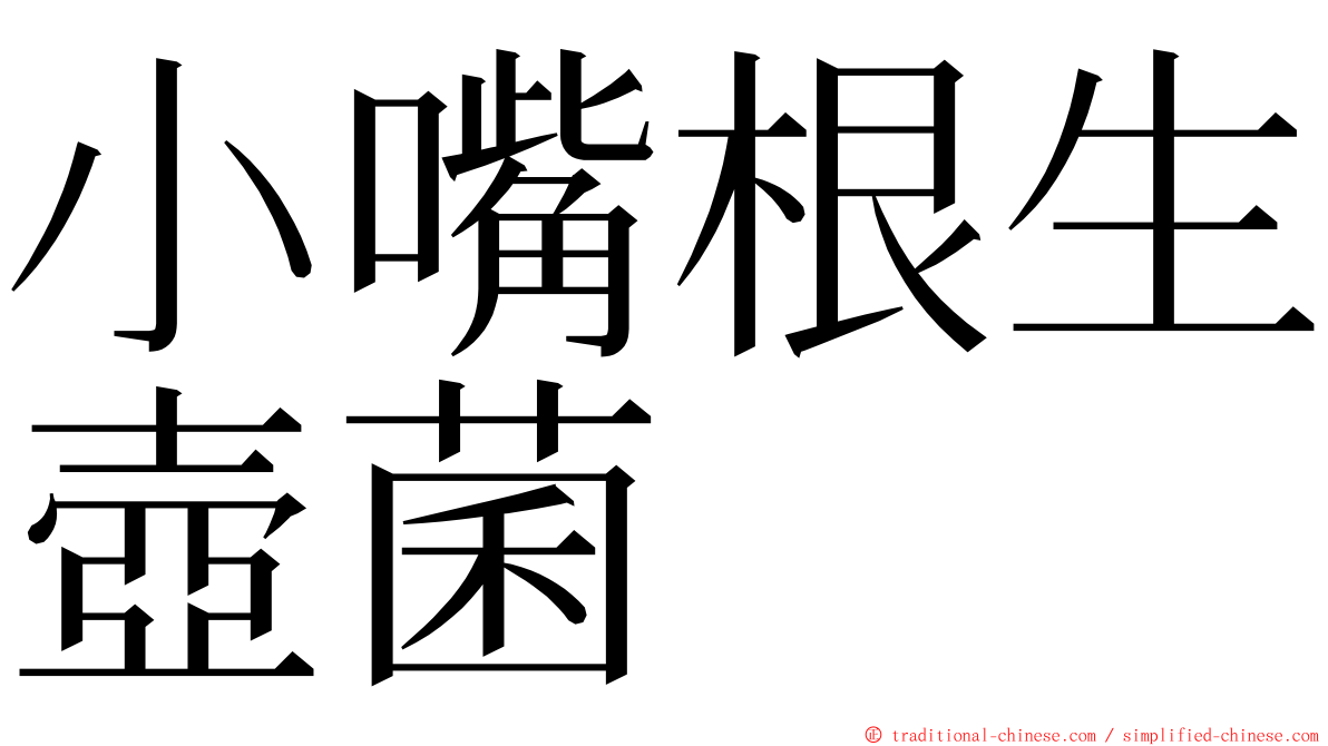小嘴根生壺菌 ming font