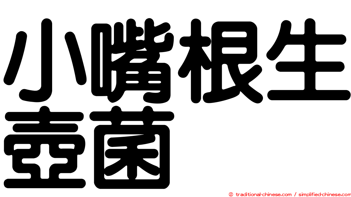 小嘴根生壺菌
