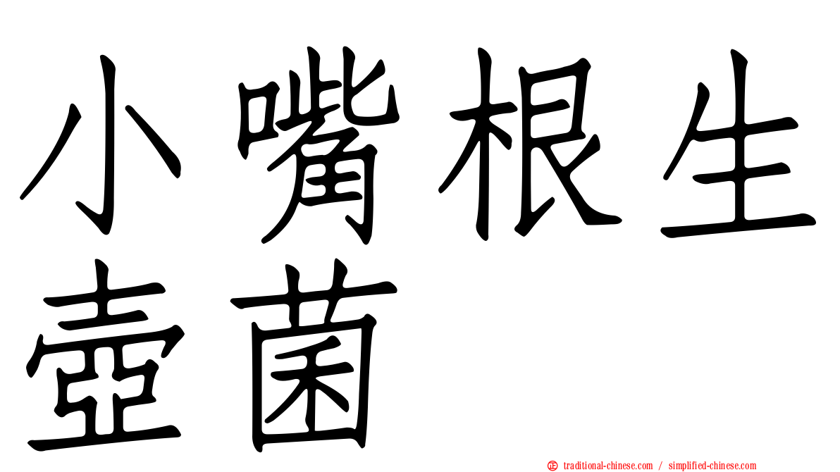 小嘴根生壺菌