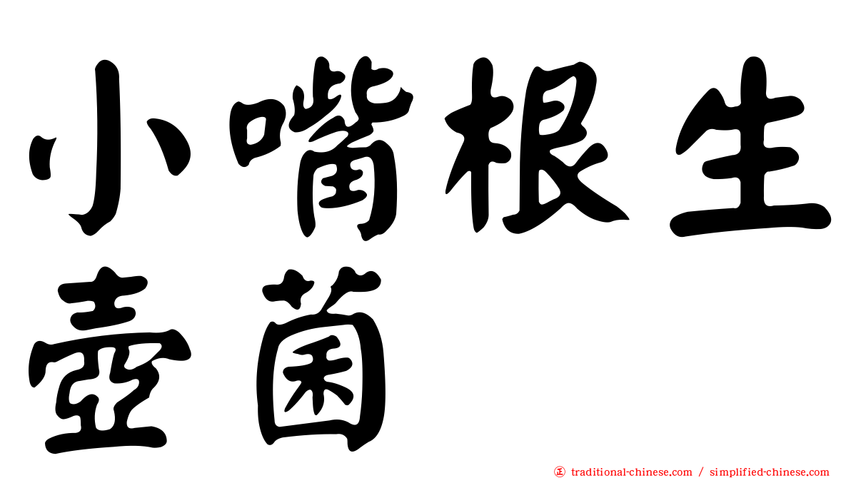 小嘴根生壺菌