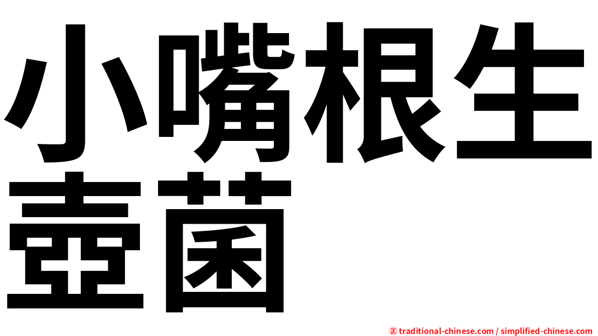 小嘴根生壺菌