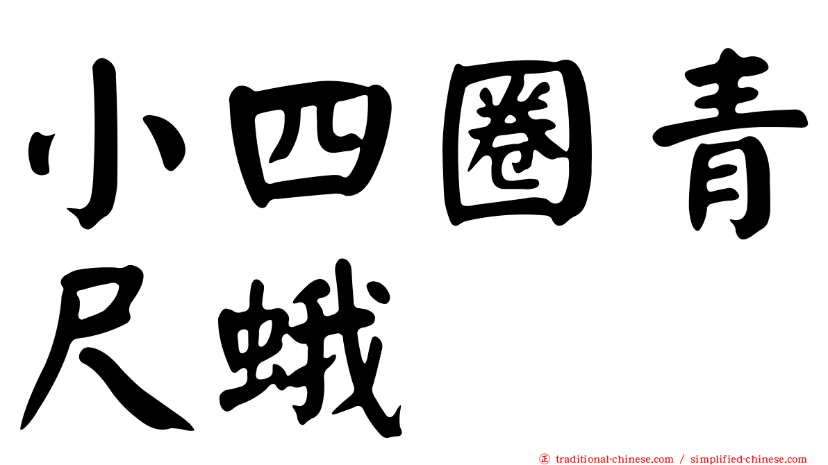 小四圈青尺蛾