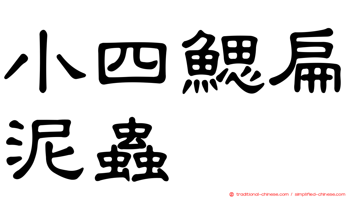 小四鰓扁泥蟲