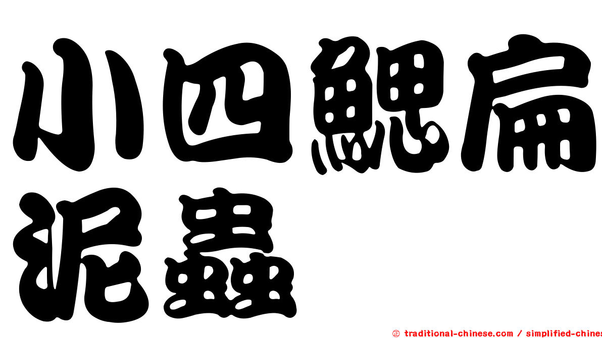小四鰓扁泥蟲