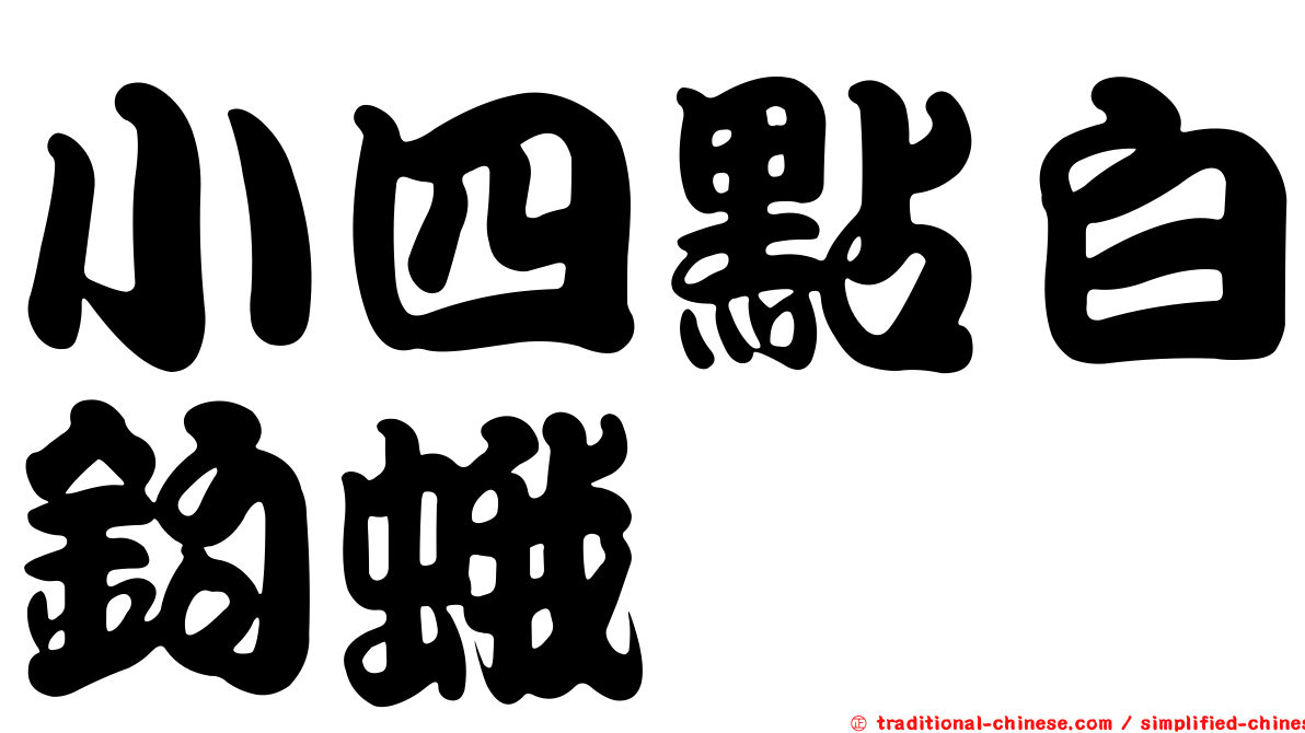 小四點白鉤蛾