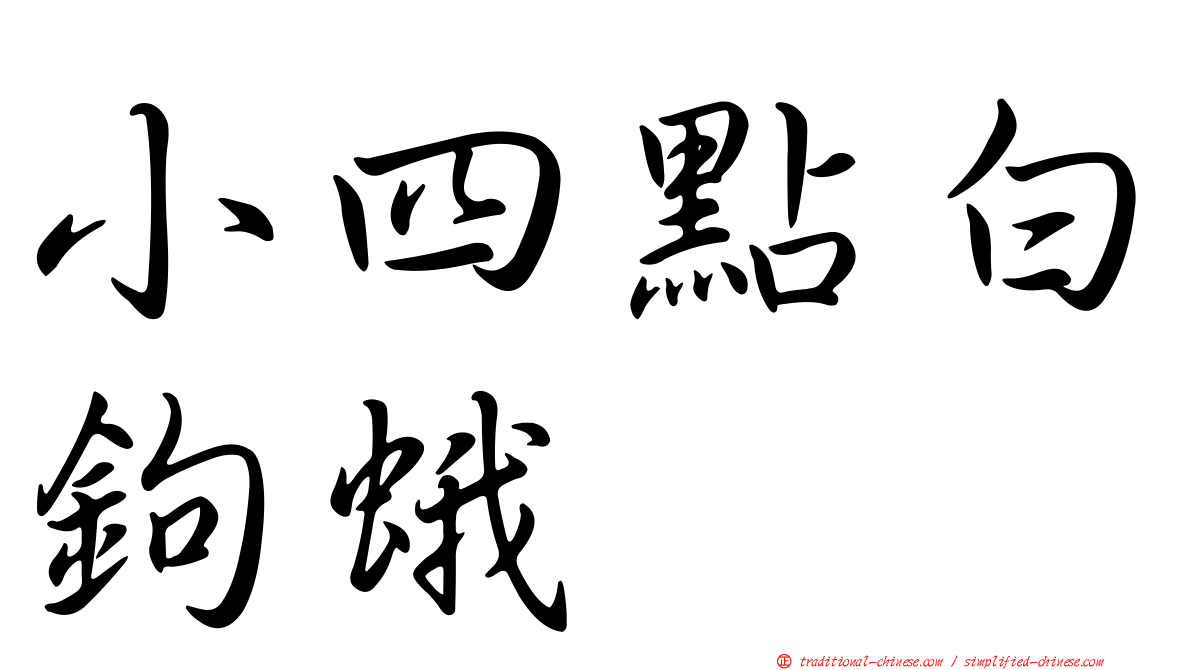 小四點白鉤蛾