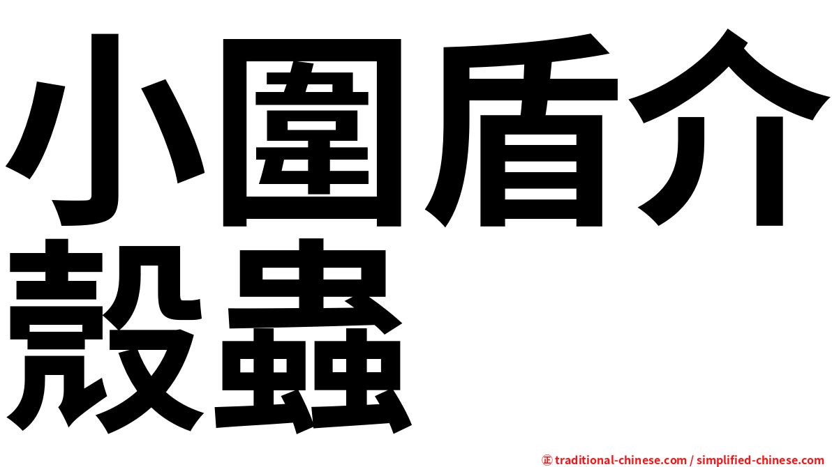 小圍盾介殼蟲