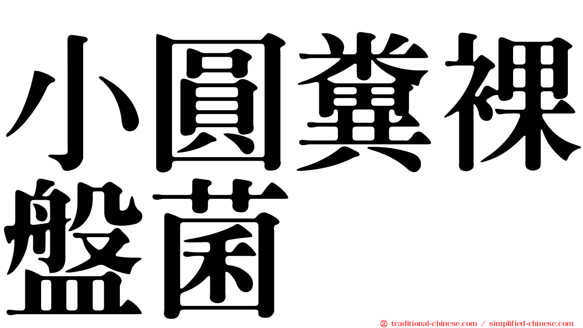 小圓糞裸盤菌