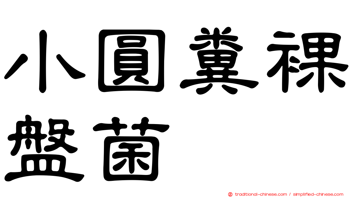 小圓糞裸盤菌