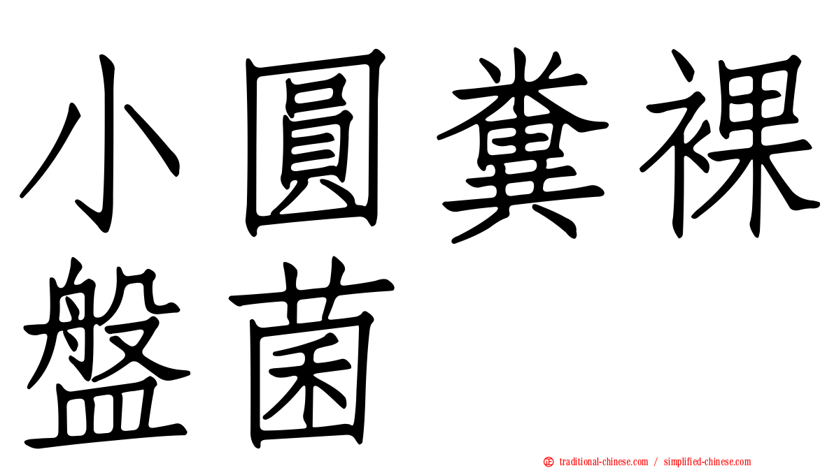 小圓糞裸盤菌