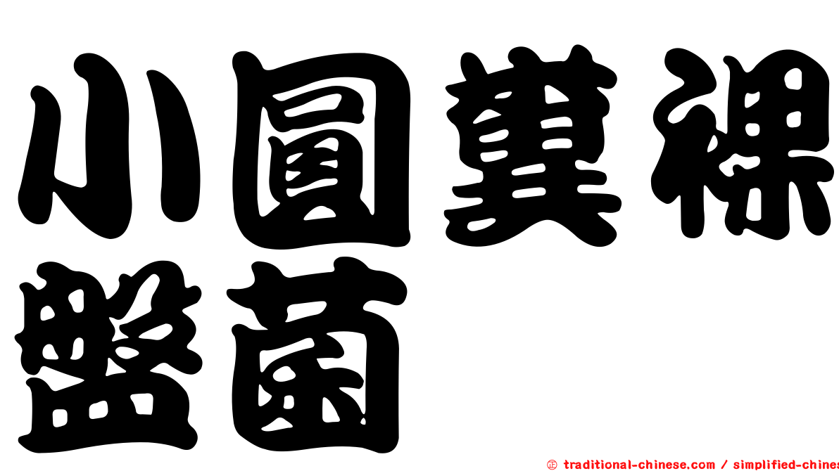 小圓糞裸盤菌