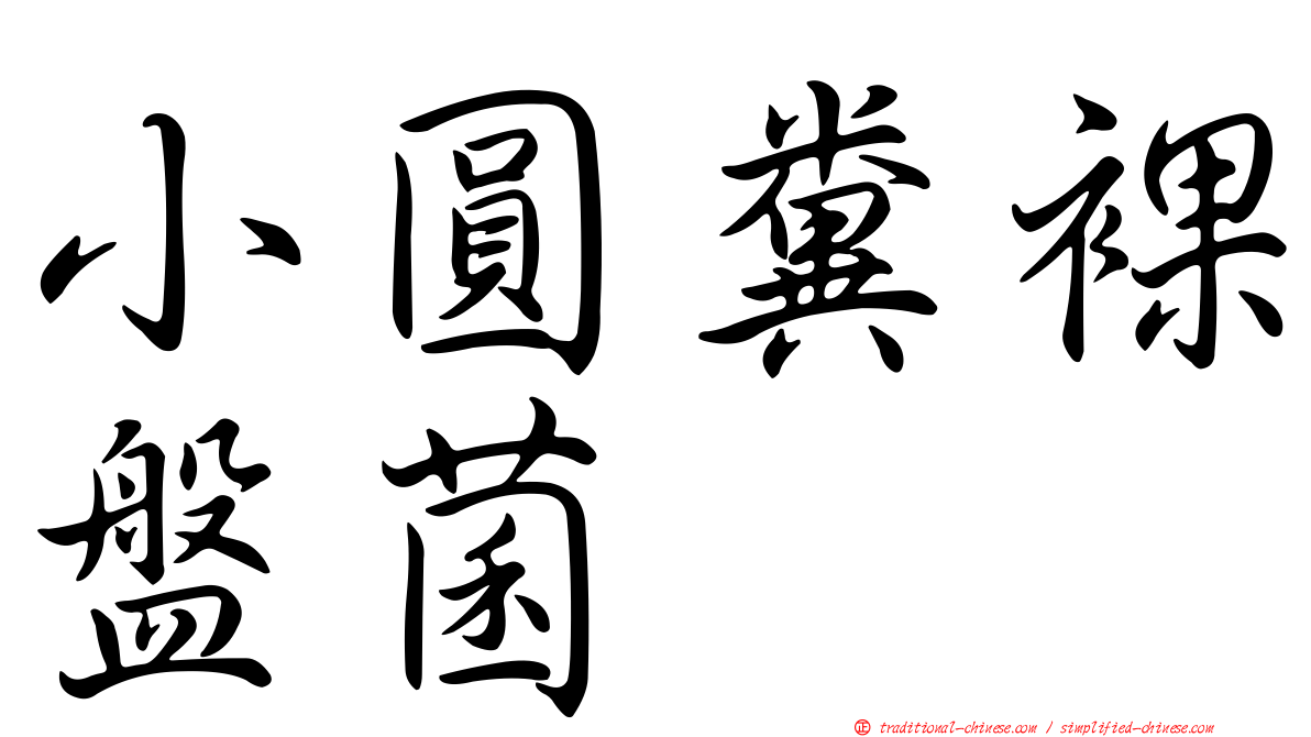 小圓糞裸盤菌