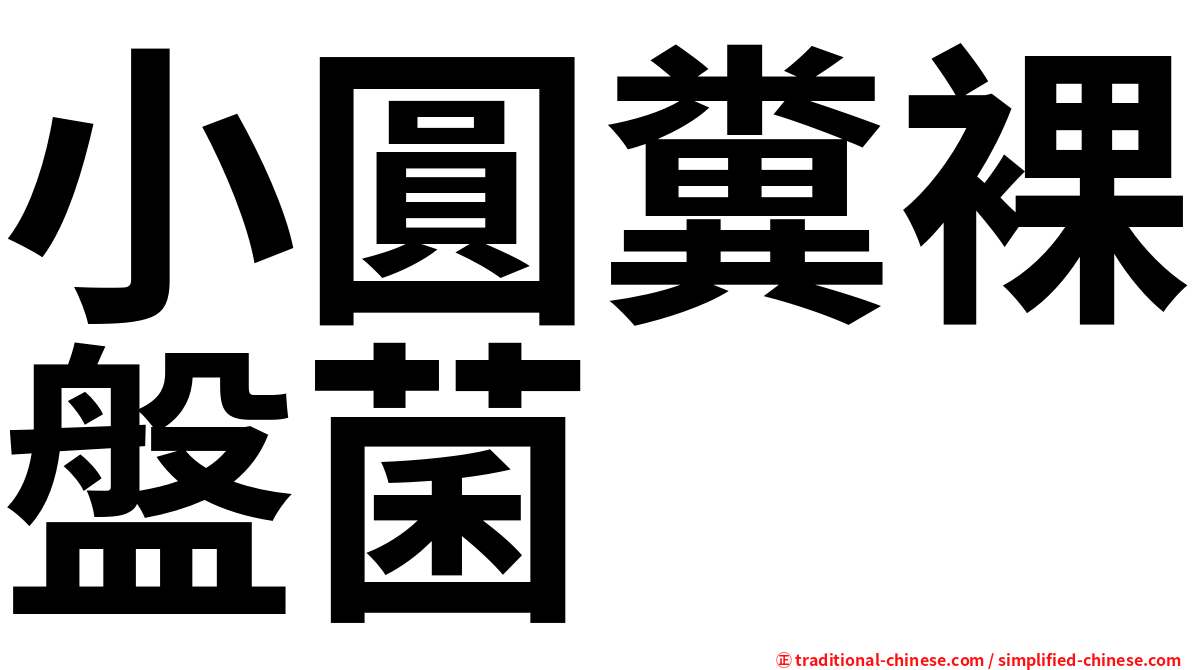 小圓糞裸盤菌