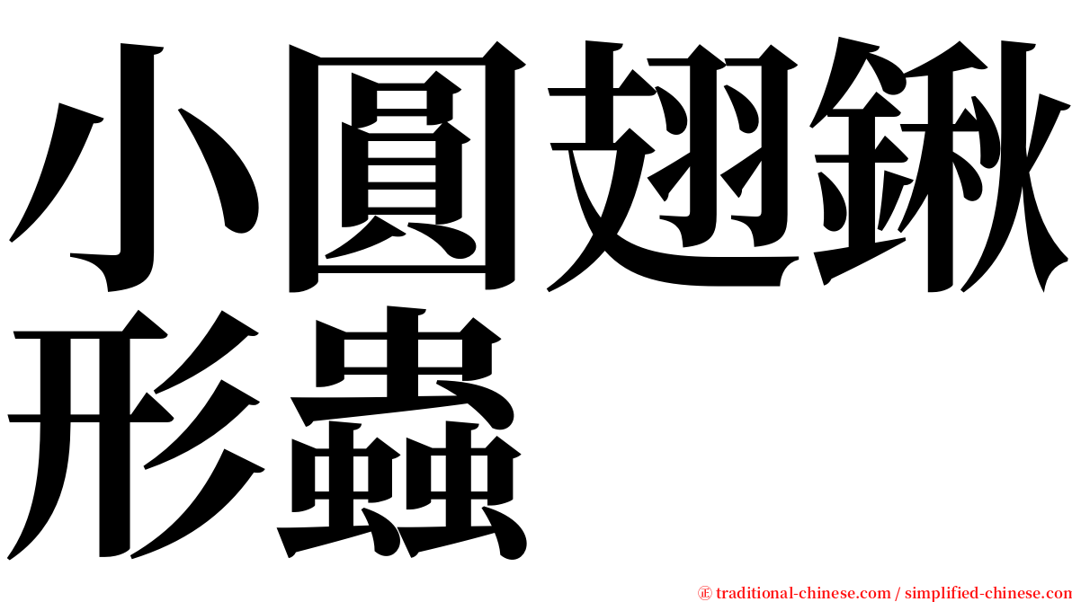 小圓翅鍬形蟲 serif font