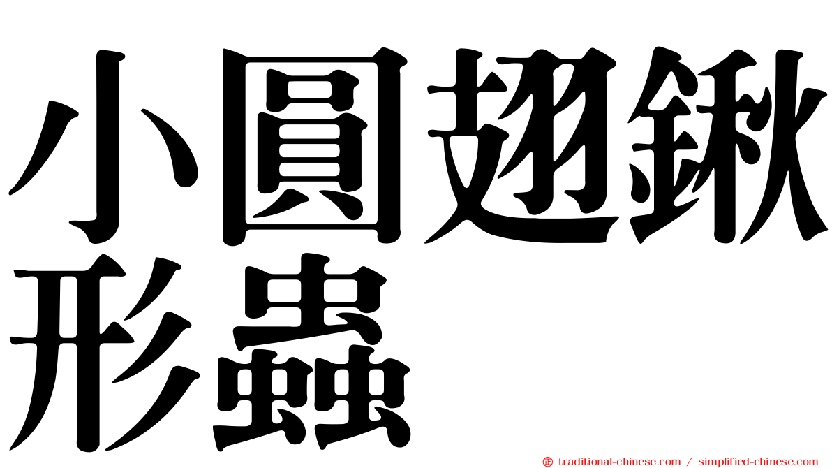 小圓翅鍬形蟲