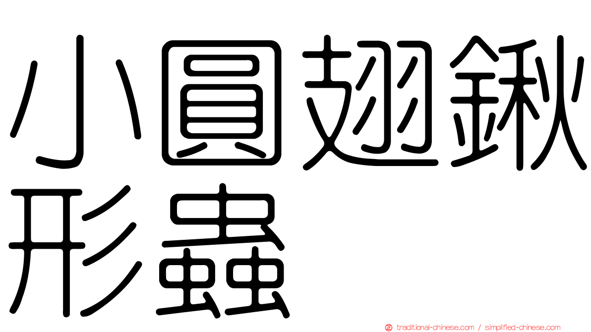 小圓翅鍬形蟲