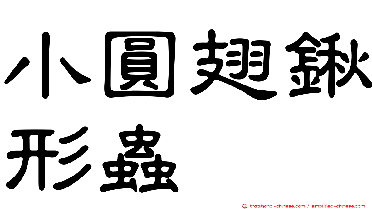 小圓翅鍬形蟲