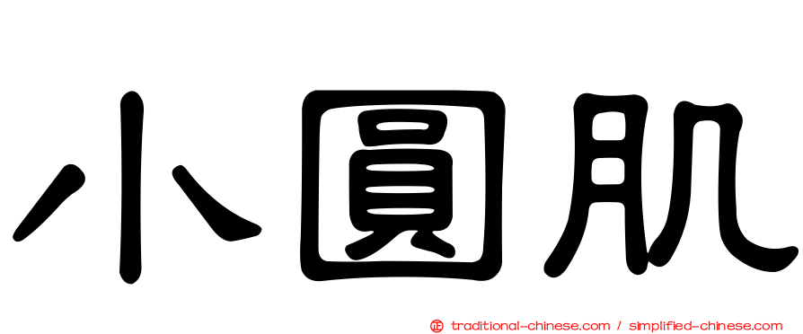 小圓肌
