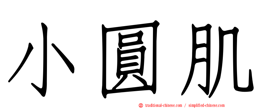 小圓肌