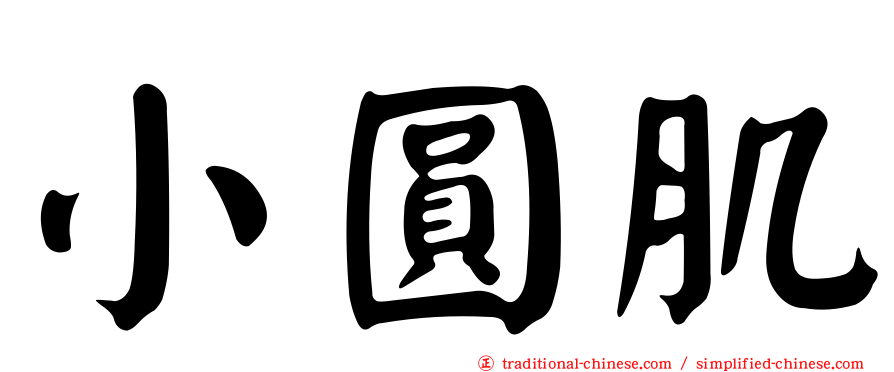 小圓肌