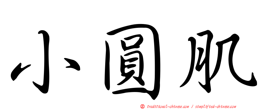 小圓肌