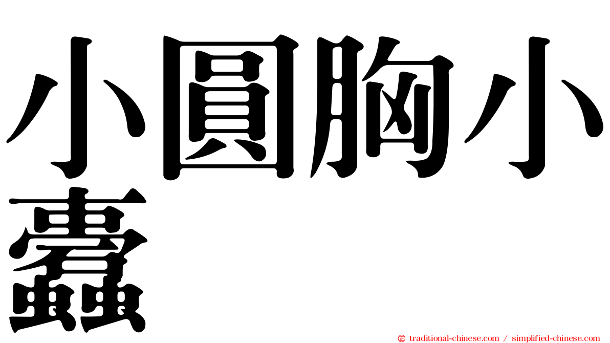 小圓胸小蠹
